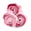 Seifenrosen rosa