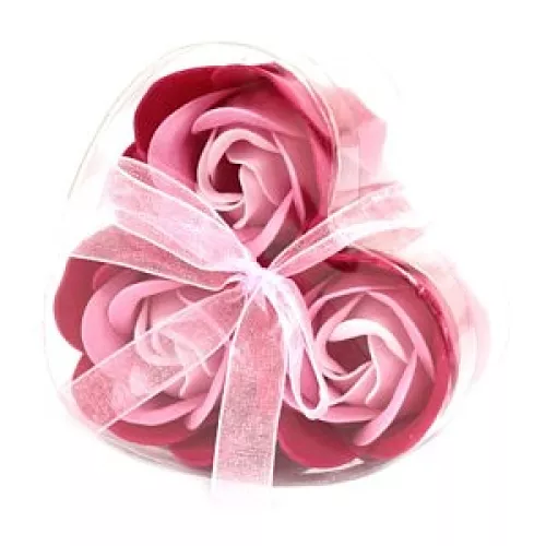 Seifenrosen rosa